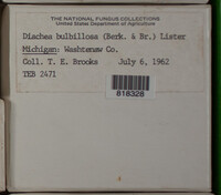 Image Associated With the Occurence